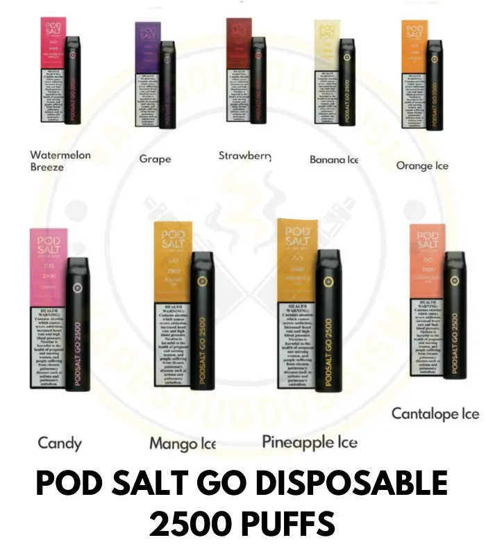 Bets POD SALT GO DISPOSABLE 2500 PUFFS in UAE