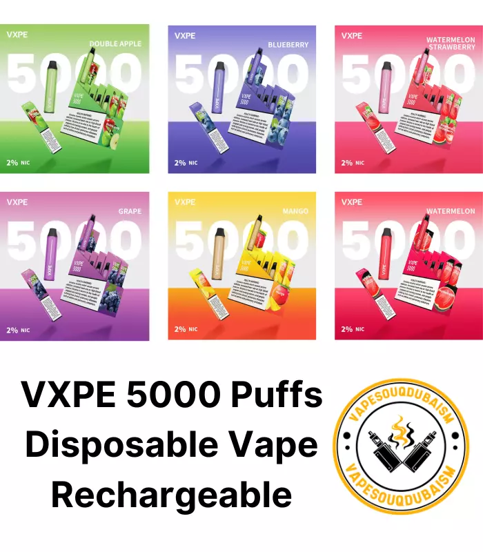 Best VXPE 5000 Puffs Disposable Vape Rechargeable IN Dubai