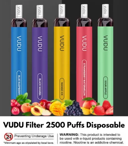 Best VUDU Filter 2500 Puffs Disposable vape in Dubai