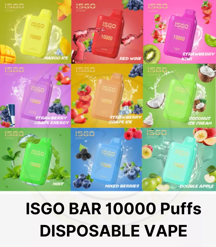 Best ISGO BAR 10000 Puffs DISPOSABLE VAPE IN Dubai